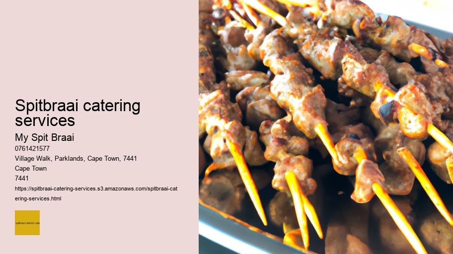 Spitbraai catering services